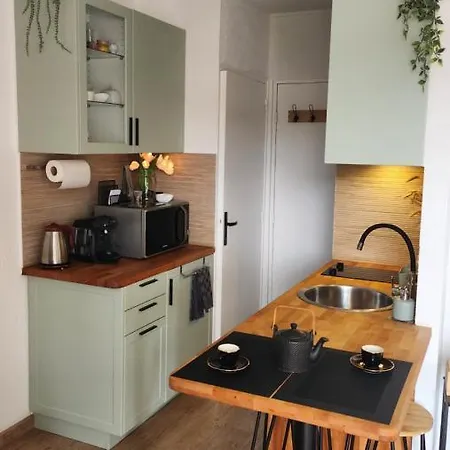 Studio Bellevue 35 Avec Balcon Albi Exterior foto